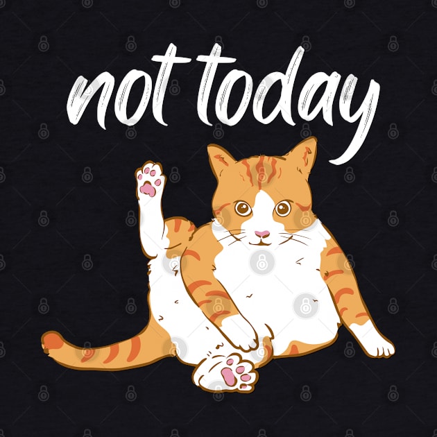 Lazy Cat Nope not Today funny sarcastic messages sayings and quotes by BoogieCreates